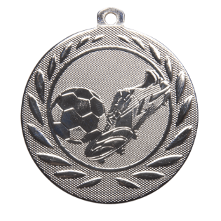 Volley Silver Medal