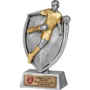Fusion Player Football Trophy
