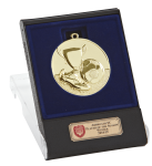 Triumph Gold Boxed Medal