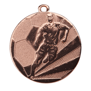 Fleet Bronze Medal
